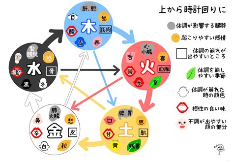 五行健康躁|カラダは5つに分類される「五行説」とは｜東洋医学 